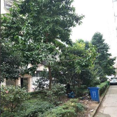 西苑公寓